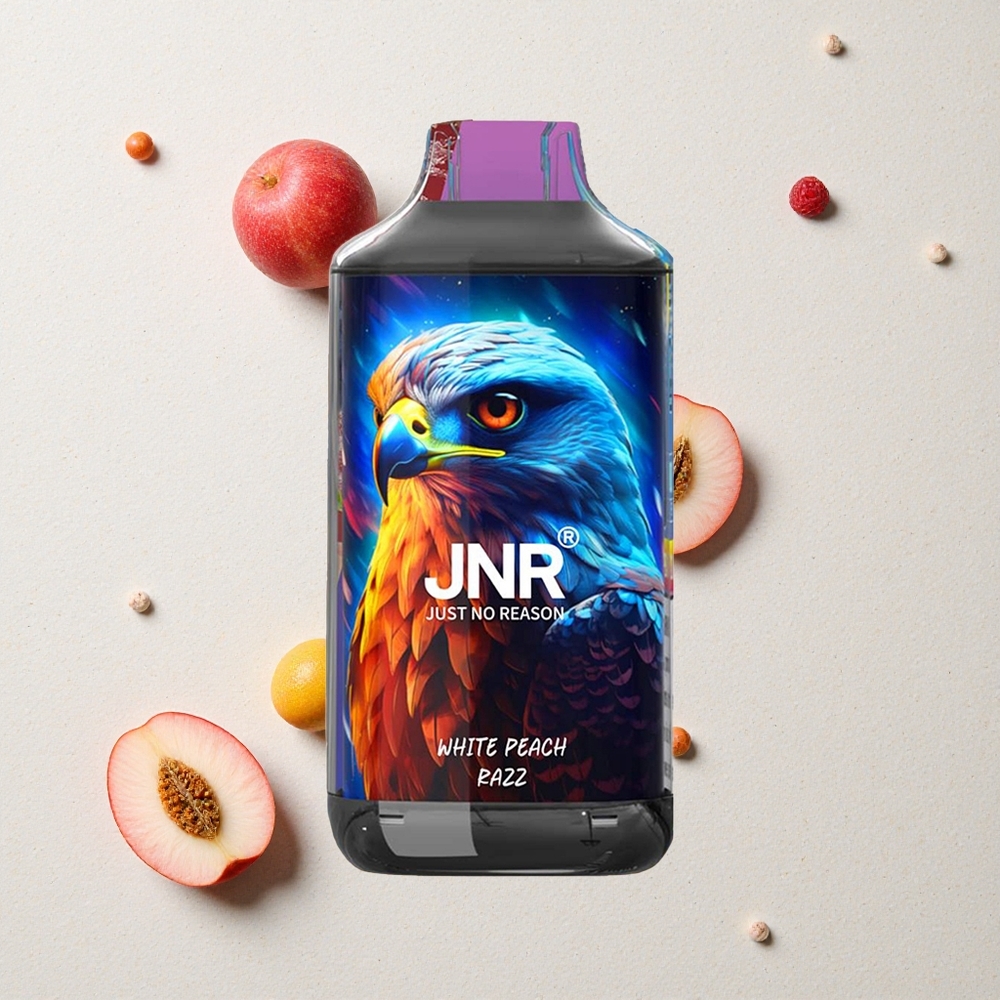 JNR Falcon 16000 Puffs Weißpfirsich-Himbeere vapes großhandel Österreich Dual Mesh Coil 22ml JNR Falcon 16000 Puffs Weißpfirsich-Himbeere vapes großhandel Österreich Dual Mesh Coil 22ml