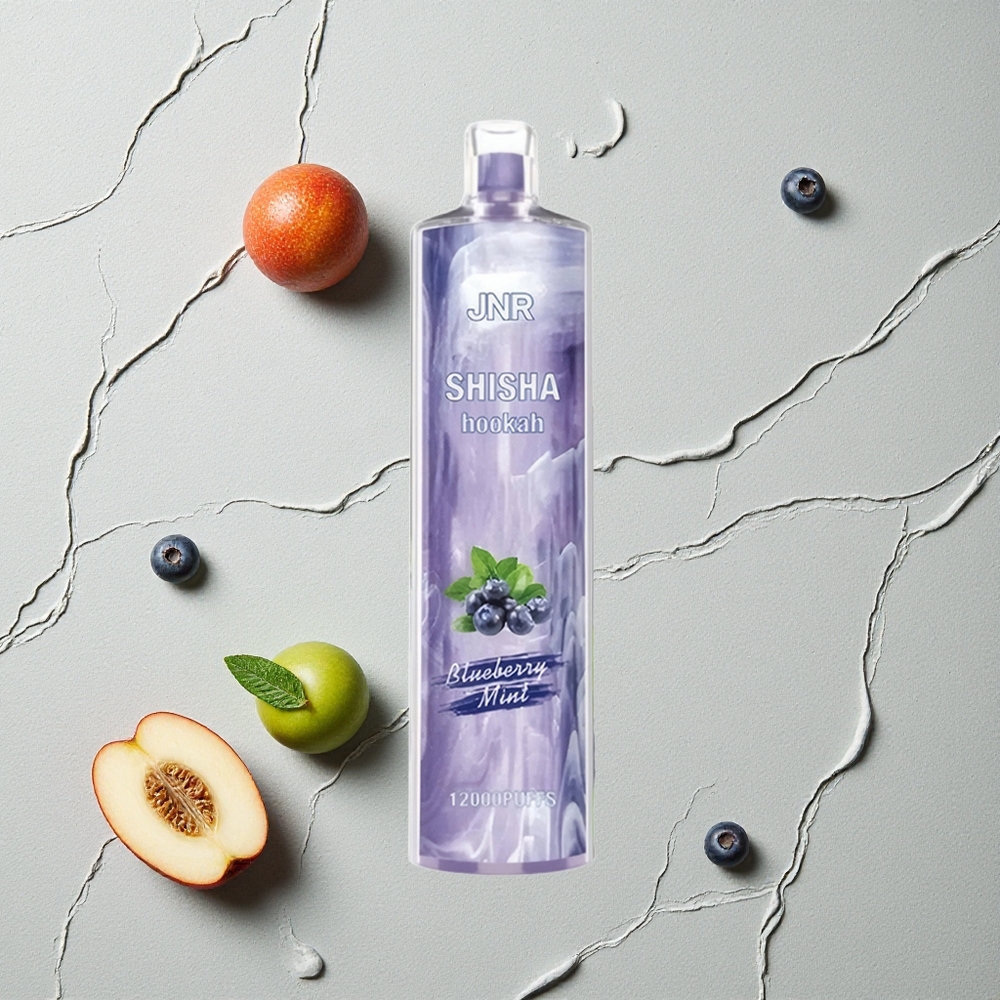 JNR Shisha Hookah 12000 Puffs Blaubeer-Minze vapes großhandel Österreich 24ml 750mAh Type-C JNR Shisha Hookah 12000 Puffs Blaubeer-Minze vapes großhandel Österreich 24ml 750mAh Type-C