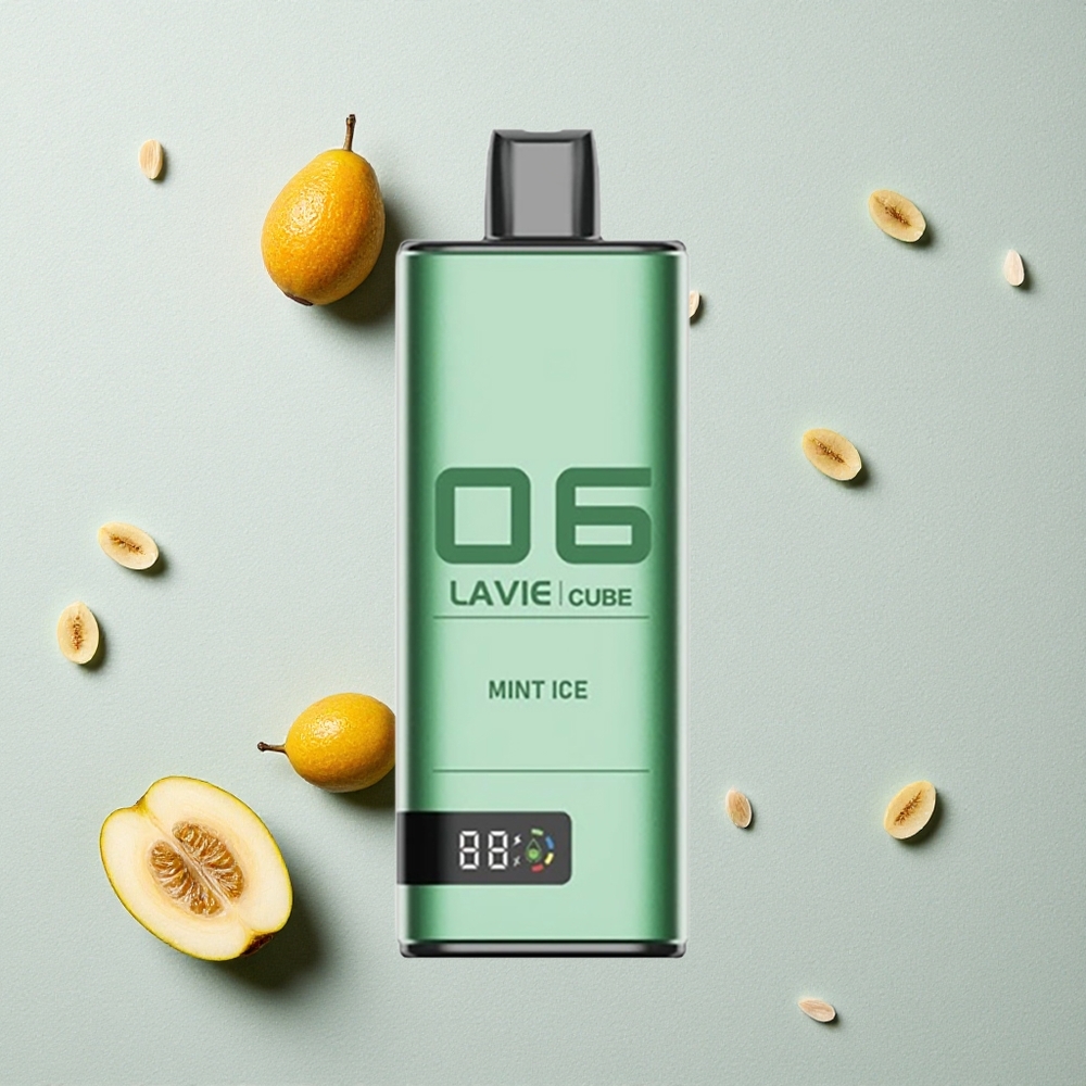 Lavie Cube 20000 Puffs Minze Eis Einweg-Vape vapes großhandel Österreich 28ML Lavie Cube 20000 Puffs Minze Eis Einweg-Vape vapes großhandel Österreich 28ML