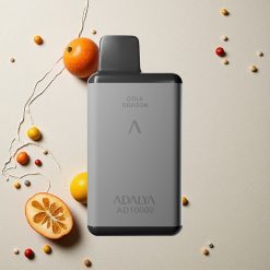 Adalya AD 10000 Puffs Kaktenus Spritzer vapes großhandel Österreich USB-C 650 mAh Weltraumgrau