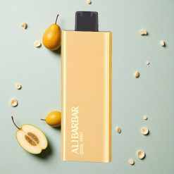 Alibarbar Pandora 7000 Puffs Einweg-Vape Minze Frisch vapes großhandel Österreich 17 ml