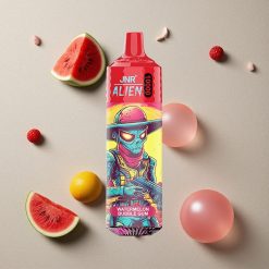 JNR Alien 10000 Puffs Wassermelone Bubble Gum Vapes Großhandel Österreich 850mAh RGB