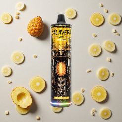 JNR Calavera 11000 Puffs Ananas Eis vapes großhandel Österreich Typ-C-Ladeanschluss 21ml E-Liquid