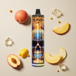 JNR Calavera 11000 Puffs Pfirsich Mango Ananas Eis vapes großhandel Österreich Typ-C Ladung 21ml E-Liquid
