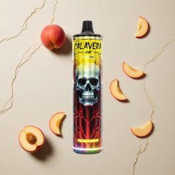 JNR Calavera 11000 Puffs Pfirsich-Mango vapes großhandel Österreich Typ-C-Ladung 21ml