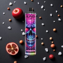 JNR Calavera 11000 Puffs Schwarz Drache Eis vapes großhandel Österreich Typ-C Ladeanschluss 21ml E-Liquid