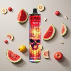 JNR Calavera 11000 Puffs Wassermelone-Eis vapes großhandel Österreich Typ-C-Ladeanschluss 21ml E-Liquid
