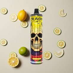 JNR Calavera 11000 Puffs Zitrone & Limette vapes großhandel Österreich Typ-C Ladung 21ml E-Liquid