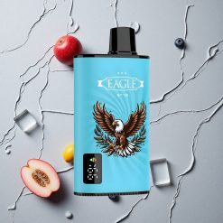 JNR EAGLE Smart 23000 Puffs Blaubeer-Eis vapes großhandel Österreich Digital Display 1.0ohm Mesh Coil