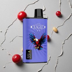 JNR EAGLE Smart 23000 Puffs Blaue Himbeere-Kirsche vapes großhandel Österreich Digitales Display Typ-C-Ladeanschluss