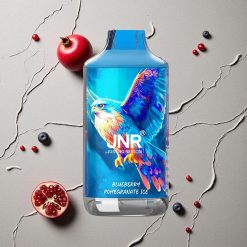 JNR Falcon 16000 Puffs Blaubeere Granatapfel Eis vapes großhandel Österreich Dual Mesh Coil 22ml