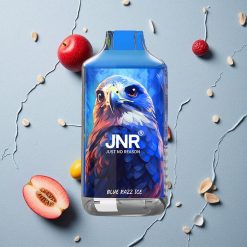 JNR Falcon 16000 Puffs Blauer Himbeer-Eis vapes großhandel Österreich Dual Mesh Coil 22ml