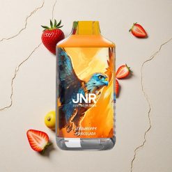 JNR Falcon 16000 Puffs Erdbeer Pina Colada vapes großhandel Österreich Dual Mesh Coil 22ml