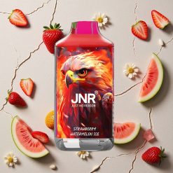 JNR Falcon 16000 Puffs Erdbeer Wassermelone Eis vapes großhandel Österreich Dual Mesh Coil 22ml