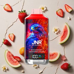 JNR Falcon X 18000 Puffs Erdbeer-Wassermelone-Eis vapes großhandel Österreich 24ml E-Liquid 750mAh
