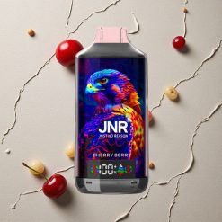 JNR Falcon X 18000 Puffs Kirsch-Beere vapes großhandel Österreich Dual Mesh Coil & Digital Display