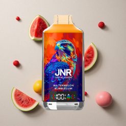 JNR Falcon X 18000 Puffs Wassermelone Bubblegum vapes großhandel Österreich mit 24ml E-Liquid & Dual Mesh Coil