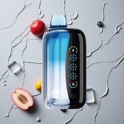 JNR Flex Ice 21000 Puffs Einweg-Vape Blaubeer-Eis vapes großhandel Österreich Typ-C Ladung 26ml E-Liquid