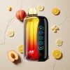 JNR Flex Ice 21000 Puffs Pfirsich Mango Ananas Vapes Großhandel Österreich Ice Adjustable 26ml E-Liquid