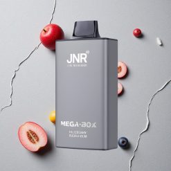 JNR Mega Box 25000 Puffs Einweg-Vape Blaubeere Bubblegum 30ml E-liquid vapes großhandel Österreich