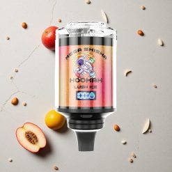 JNR Mega Shisha Hookah 100K Eisige Frische vapes großhandel Österreich Typ-C Schnellladung 2200mAh