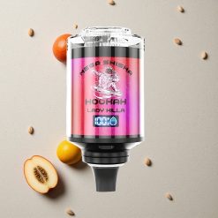 JNR Mega Shisha Hookah 100K Lady Killa Desktop Compatibility 100000 Puffs vapes großhandel Österreich 60ml e-Liquid Kapazität