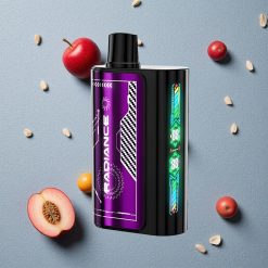 JNR Radiance 31000 Puffs Blaue Himbeere Kirsche vapes großhandel Österreich Dual Mesh Coil