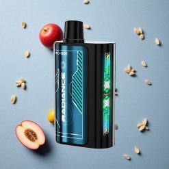 JNR Radiance 31000 Puffs Blauer Himbeer-Eis vapes großhandel Österreich Dual Mesh Coil 28ml