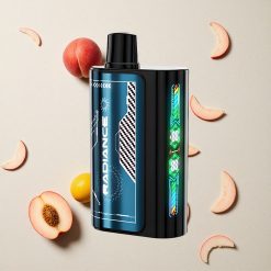 JNR Radiance 31000 Puffs Sommer Pfirsich Eis vapes großhandel Österreich Dual Mesh Coil