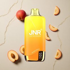 JNR Rainbow 10500 Puffs Mangopfirsich Einweg-Vape 18ml E-Liquid Tank vapes großhandel Österreich USB Type-C