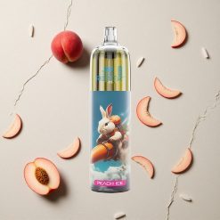 JNR Rocket-X 12400 Puffs Pfirsich Eis Vape mit RGB-Licht vapes großhandel Österreich
