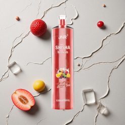 JNR Shisha Hookah 12000 Puffs Beere-Eis vapes großhandel Österreich 24ml 750mAh