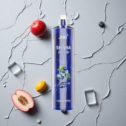 JNR Shisha Hookah 12000 Puffs Blaubeer-Eis vapes großhandel Österreich 750mAh 24ml