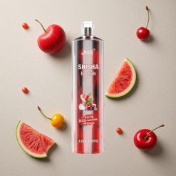 JNR Shisha Hookah 12000 Puffs Kirsch-Wassermelonen-Eis vapes großhandel Österreich 24ml E-Liquid