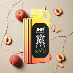 JNR Shisha Hookah Box 20500 Puffs Juicy Peaches (Saftige Pfirsiche) vapes großhandel Österreich HD Display Typ-C Schnellladung