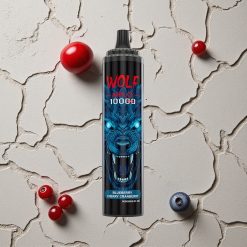 JNR Wolf Niplo 10000 Puffs Blaubeere Kirsche Preiselbeere vapes großhandel Österreich Typ-C Schnellladung 20ml